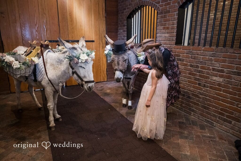 Crooked Willow Farms Wedding // Ethan & Kenzie -