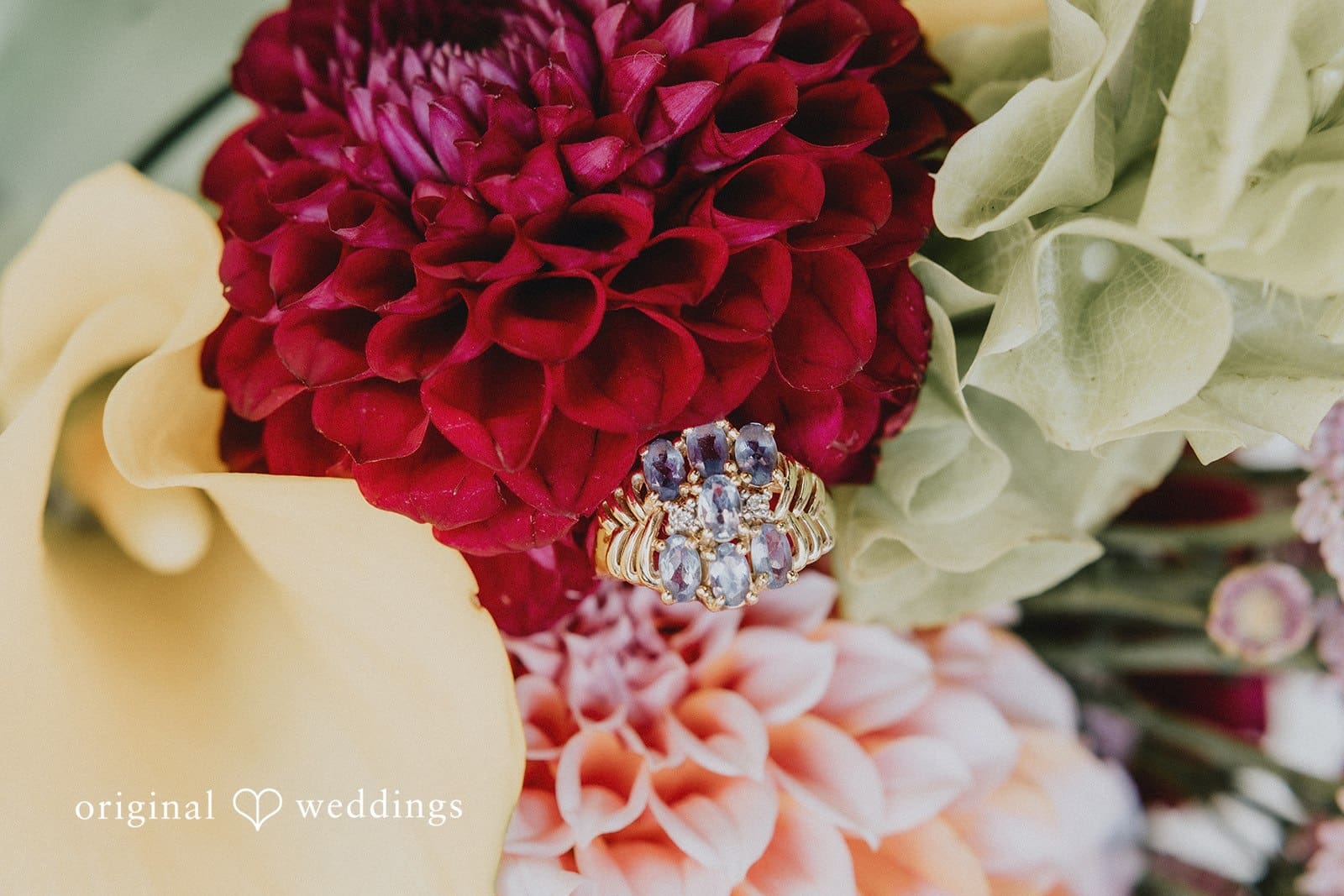 Cypress Sea Cove Wedding // Sadra & Michael -