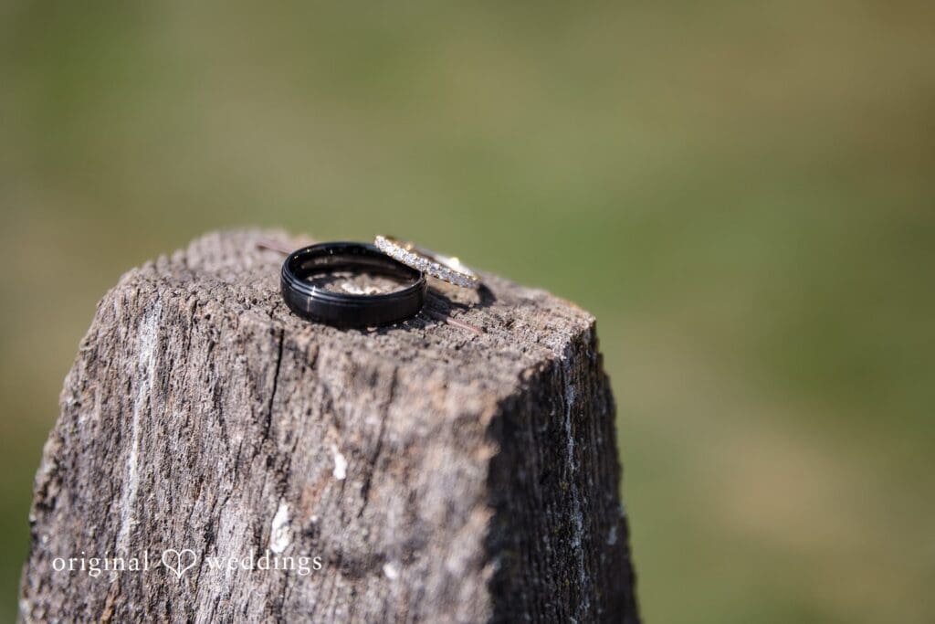 Eileen + Michael John James Audubon Center Wedding // Eileen & Michael -