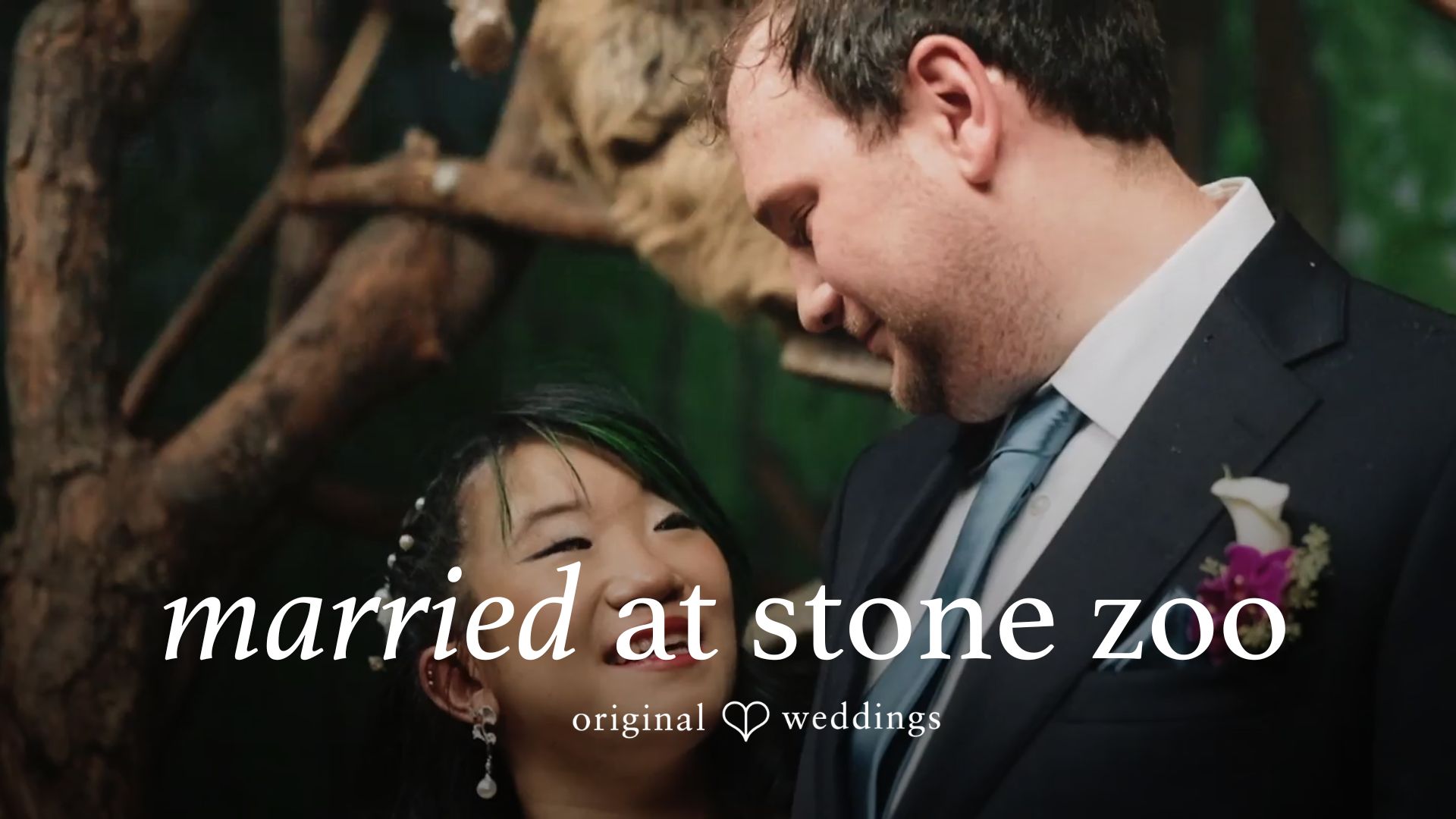 Stone Zoo Wedding Video // Corin & Gengyi -
