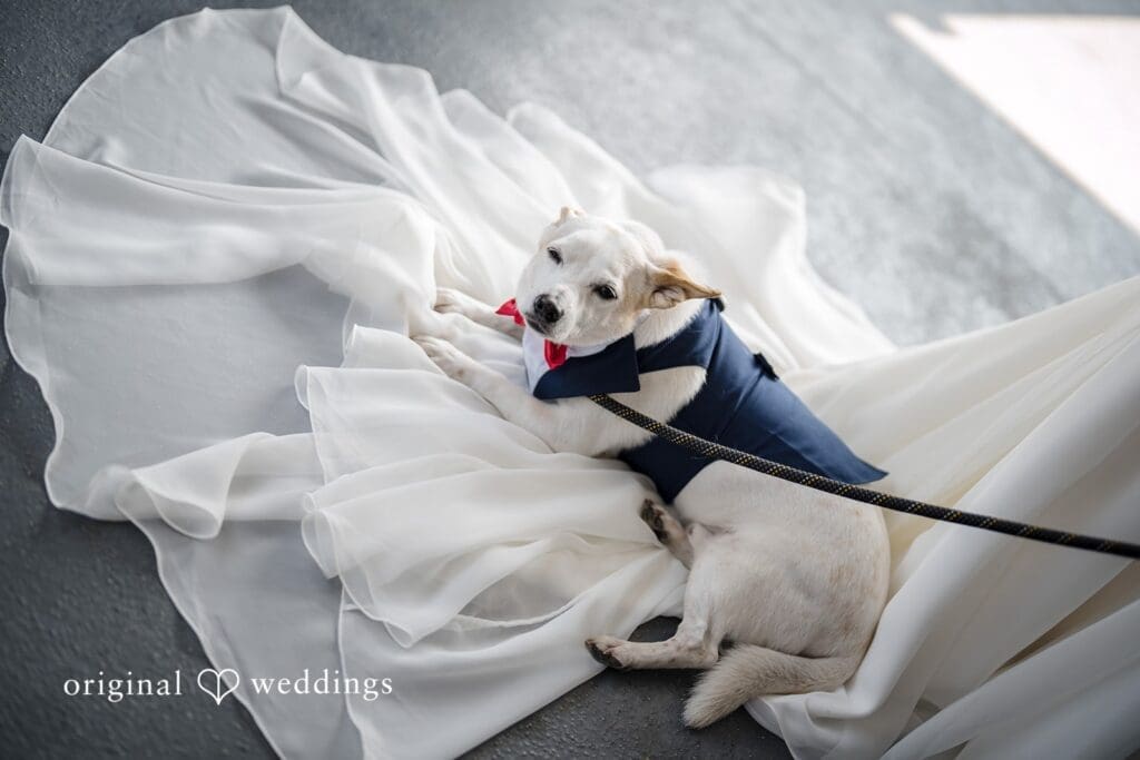 MV Skansonia Wedding // Angela & Samuel -
