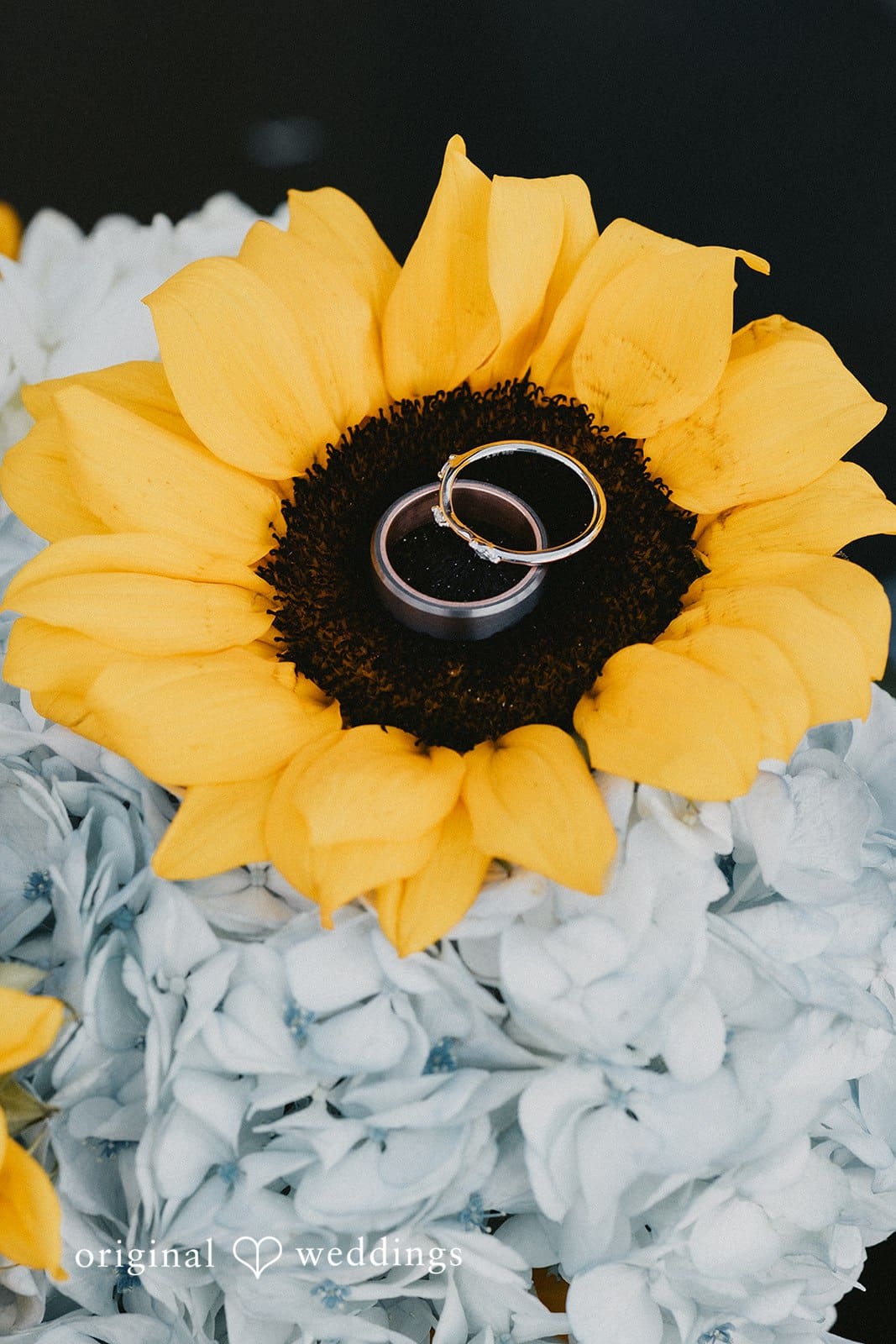 The Pines at Genesee Wedding // Allison & Martin -
