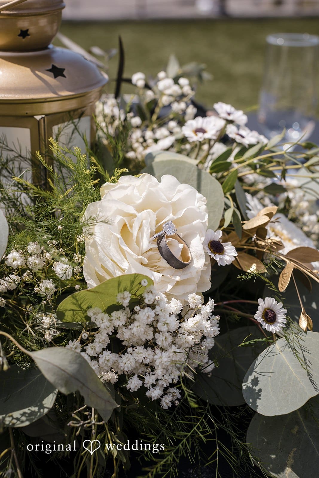 The Sunset Estate Wedding // Ashleigh & Justin -