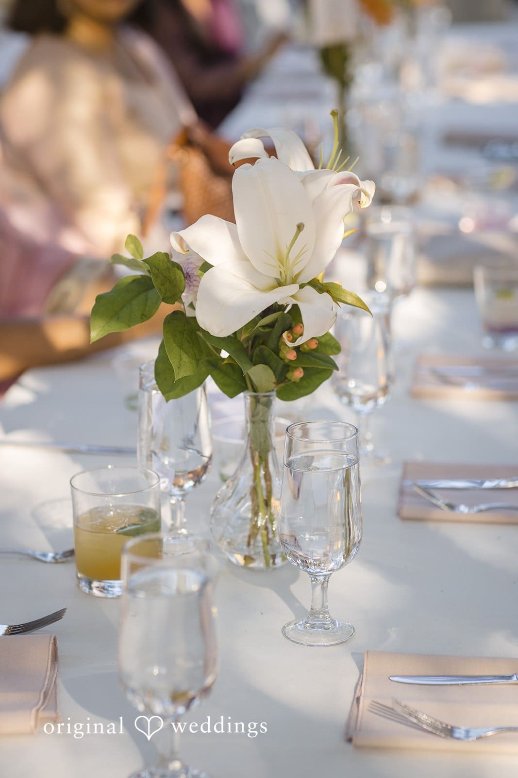 UW Center for Urban Horticulture Wedding // Deepthi & Schuyler -