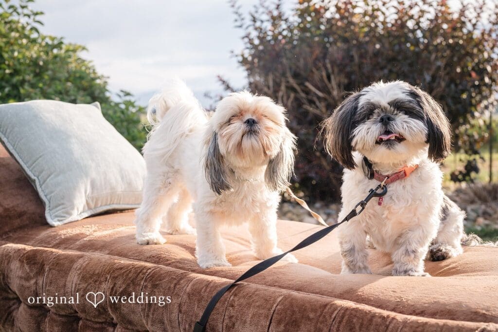 Vermillion Hill Wedding // Erica & Scott -