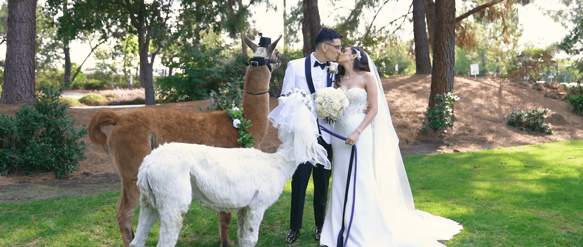 Perera Pavilion Wedding Video // Michael & Maria -