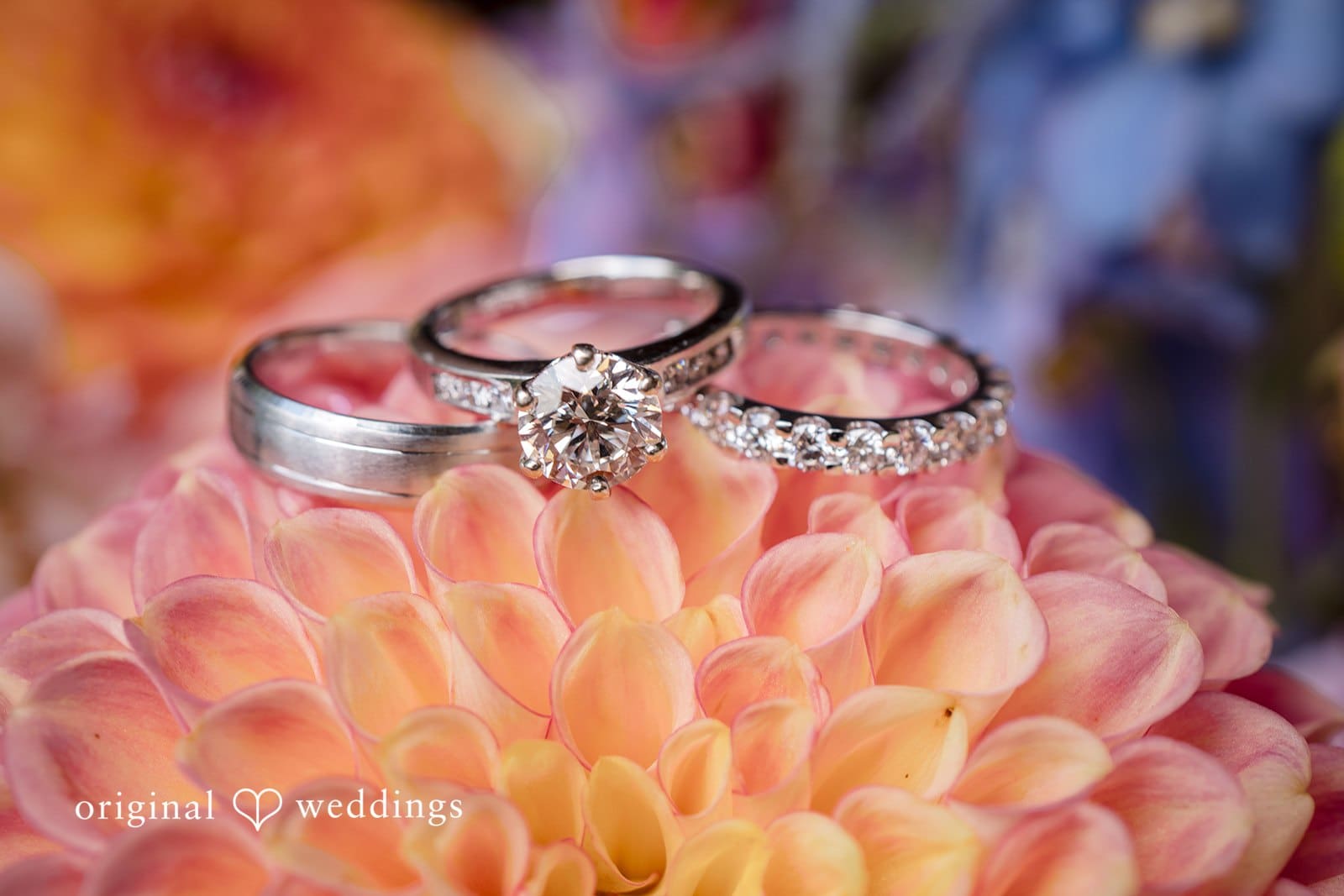 Willows Lodge Wedding // Meruert & Phillip -