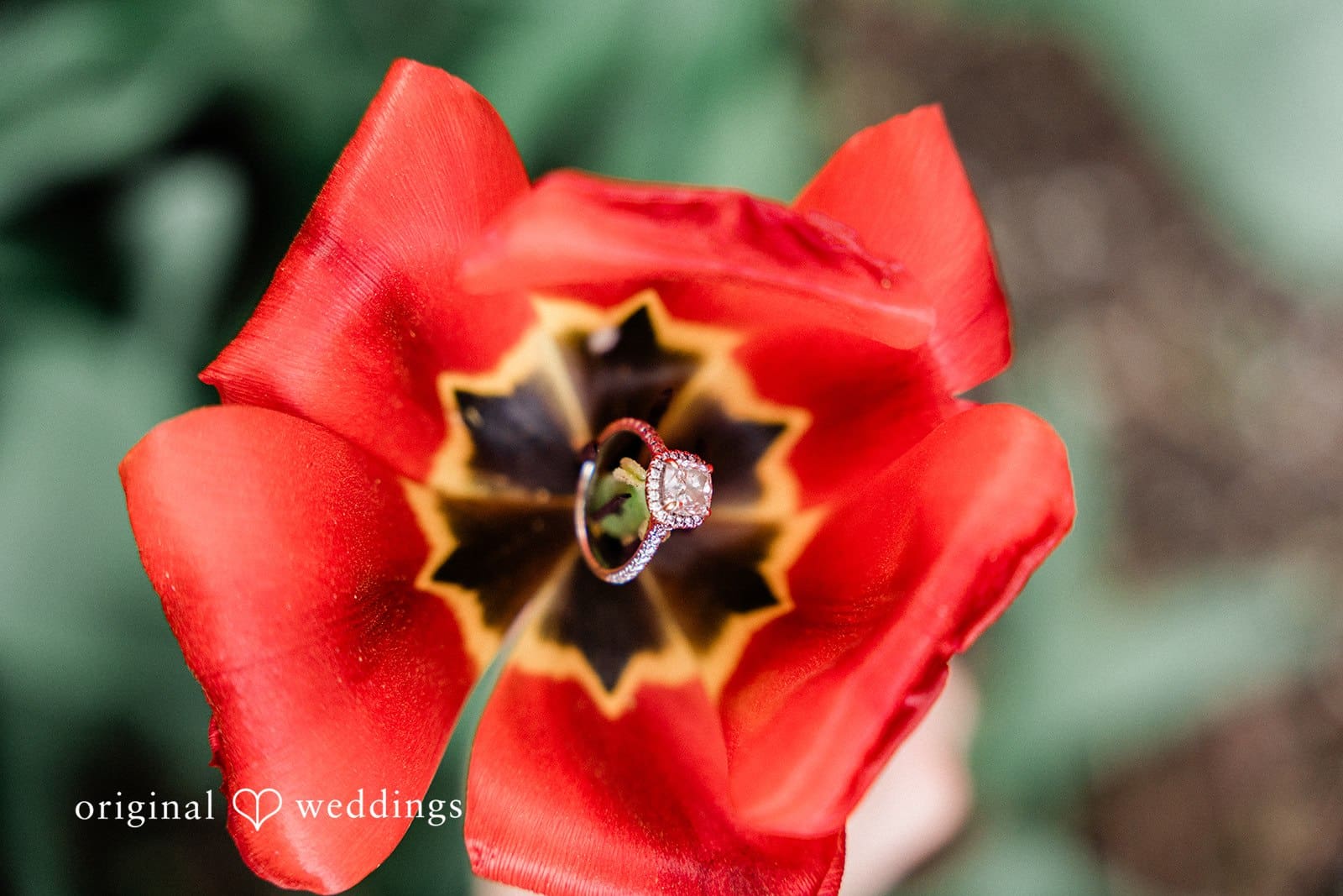 18th Century Garden Engagement // Nikki & Rohan -