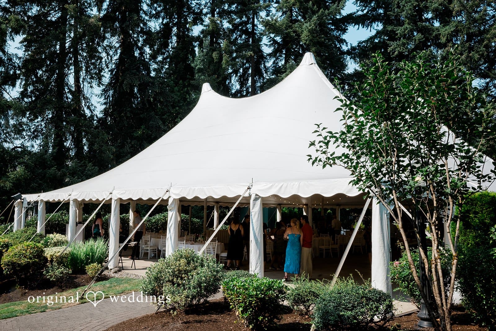 Abernethy Center Wedding // Sarah & Cameron -