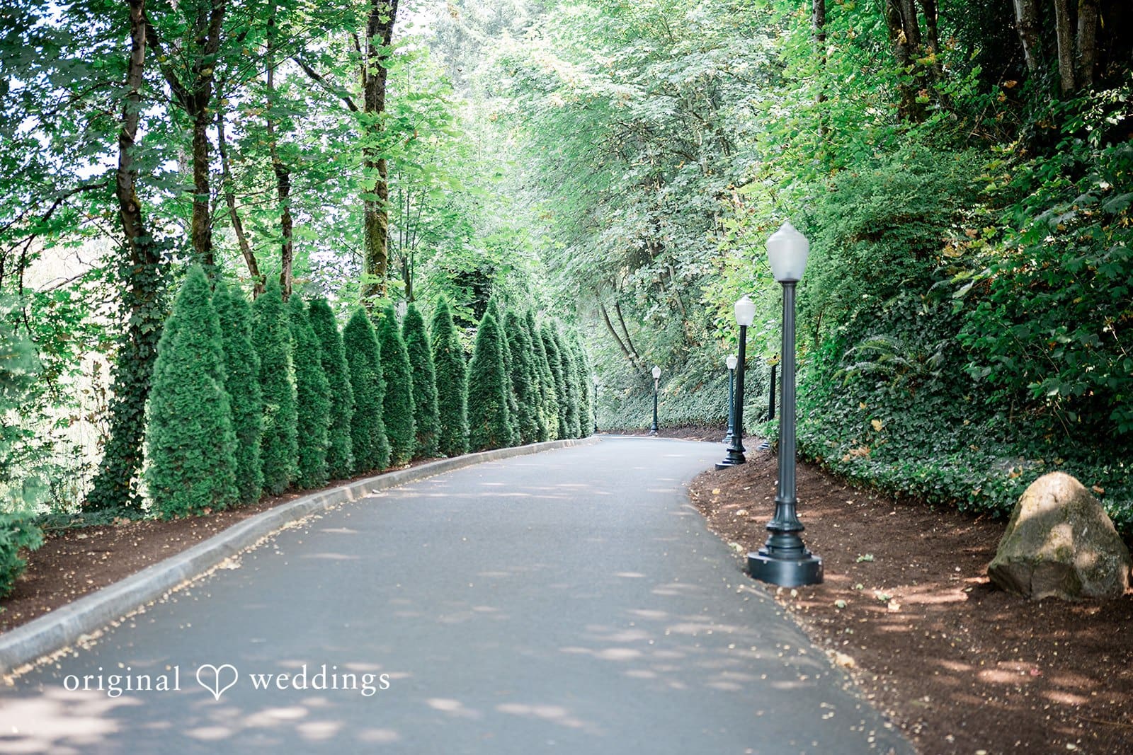Abernethy Center Wedding // Sarah & Cameron -