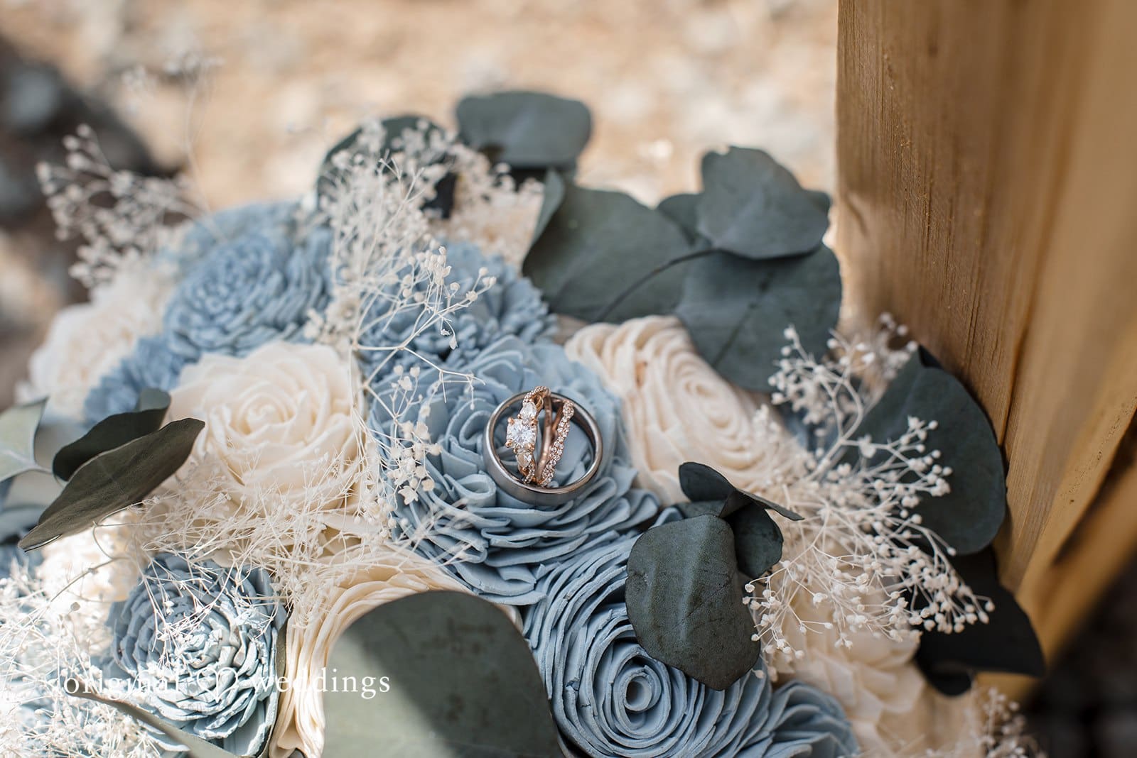 Bear Creek Meadows Wedding // Quinn & Carrie -