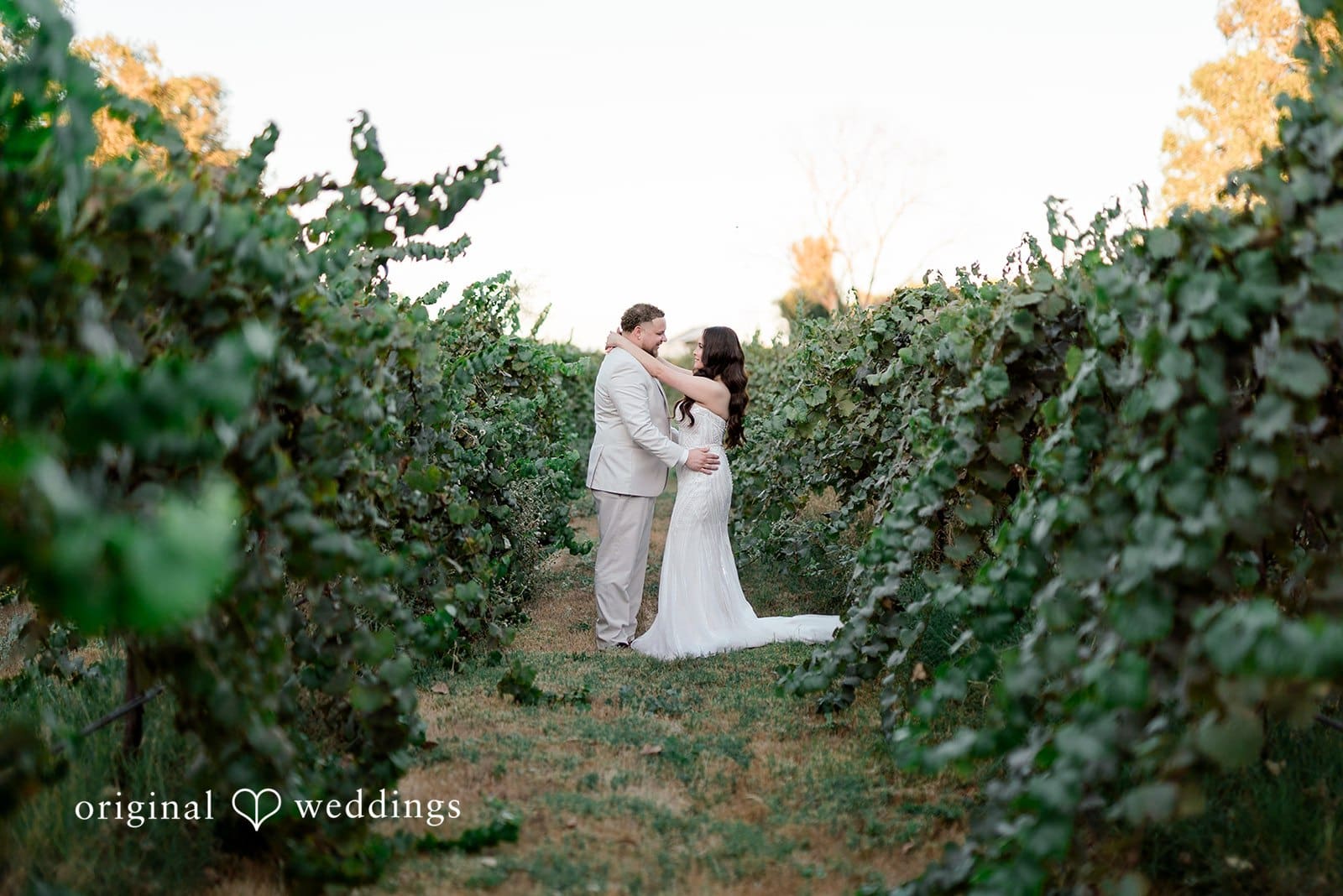 Belle Vie Vineyard Wedding // Diana & Austin -