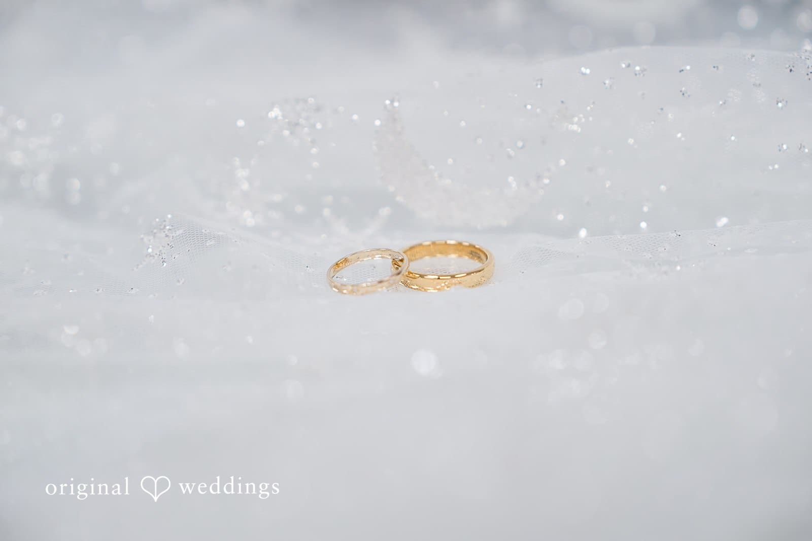 Blumen Gardens Wedding // Kori & Dan -