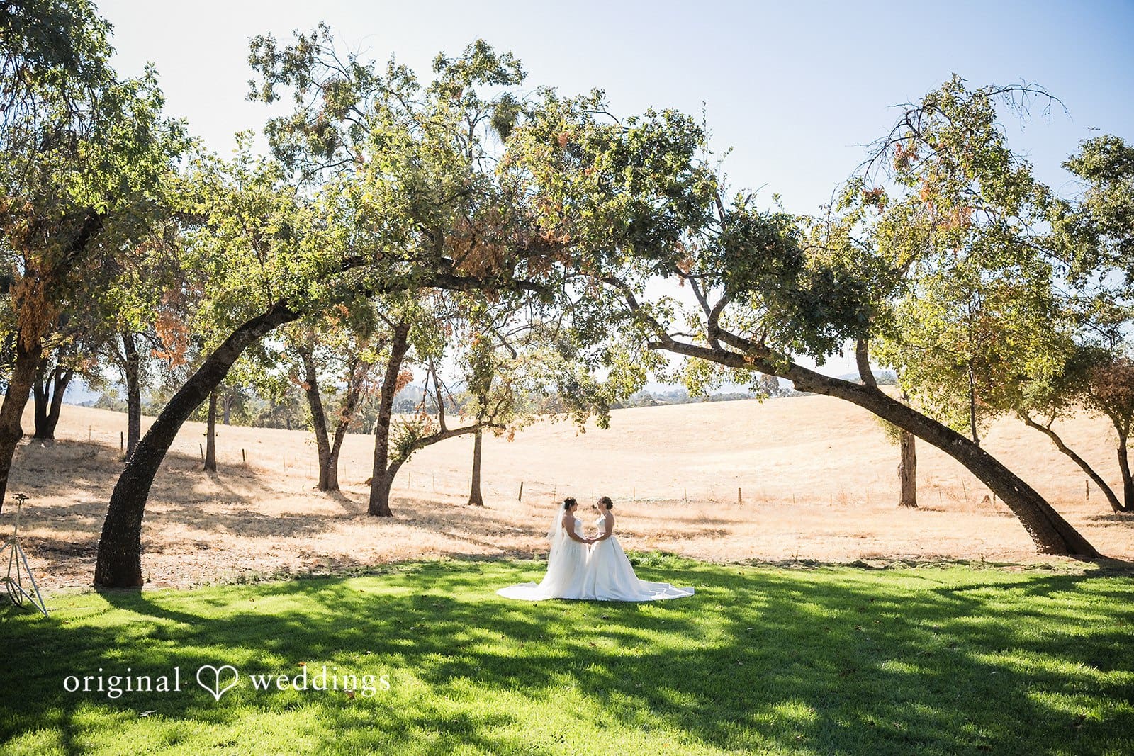 California Backyard Wedding // Brooke & Georgia -