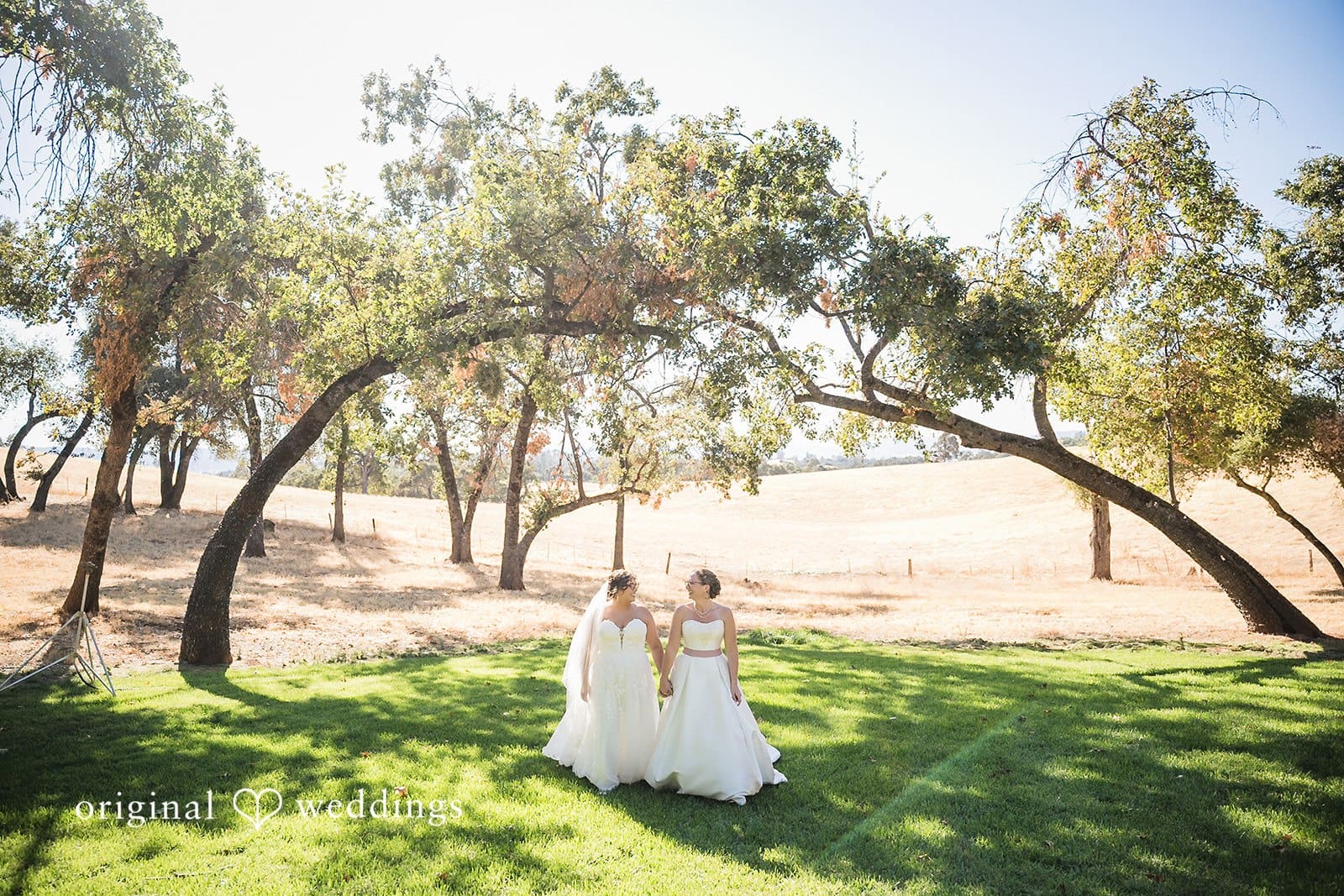 California Backyard Wedding // Brooke & Georgia -