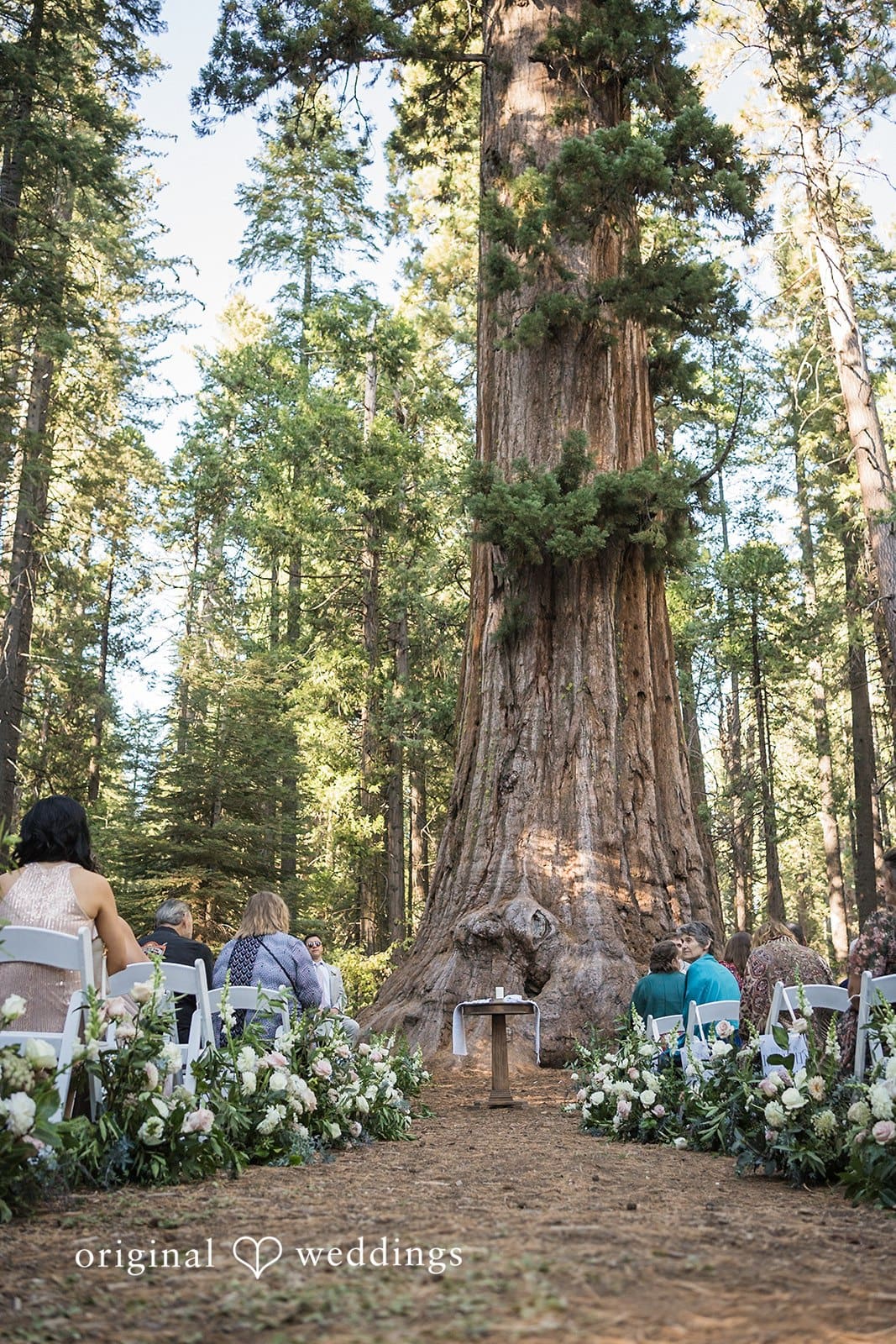 California Backyard Wedding // Brooke & Georgia -