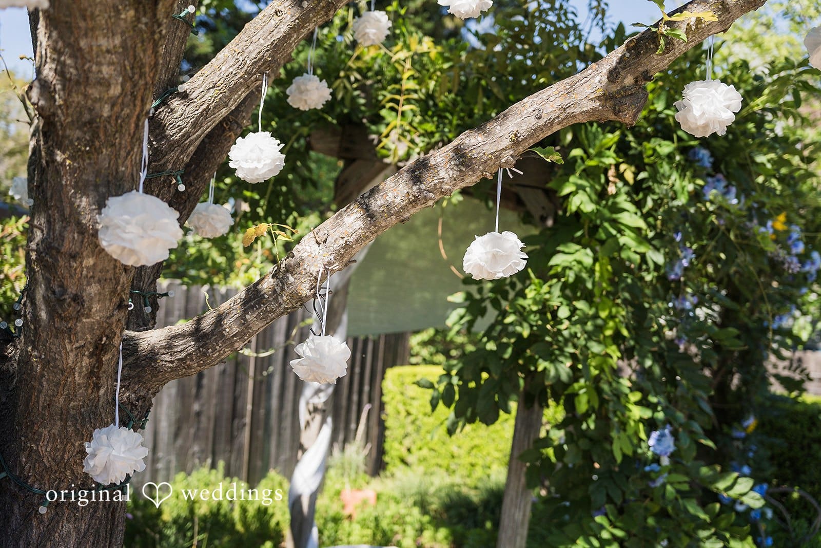 California Backyard Wedding // Paz & Jake -