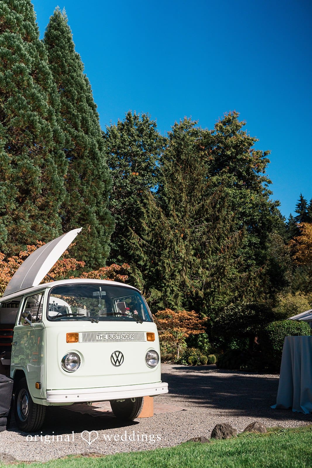 Cedar Springs Wedding // Shruti & Maason -