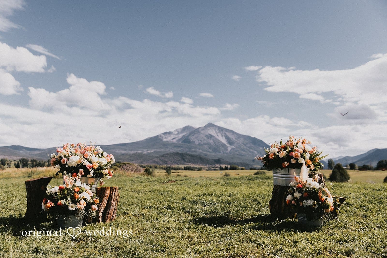 Colorado Backyard Wedding // Madeleine & Cody -