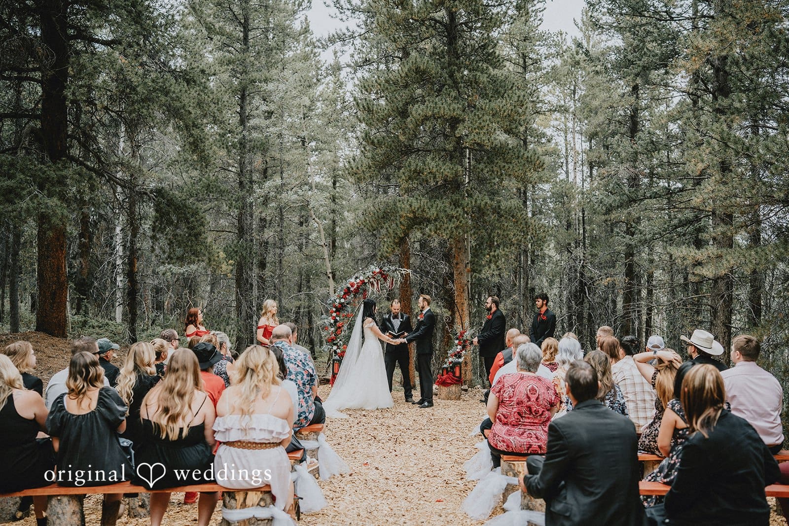 Colorado Backyard Wedding // Mykaela & Chase -