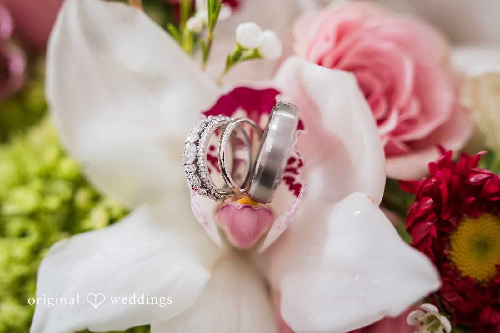 Como Conservatory Wedding // Sophie & Corey -
