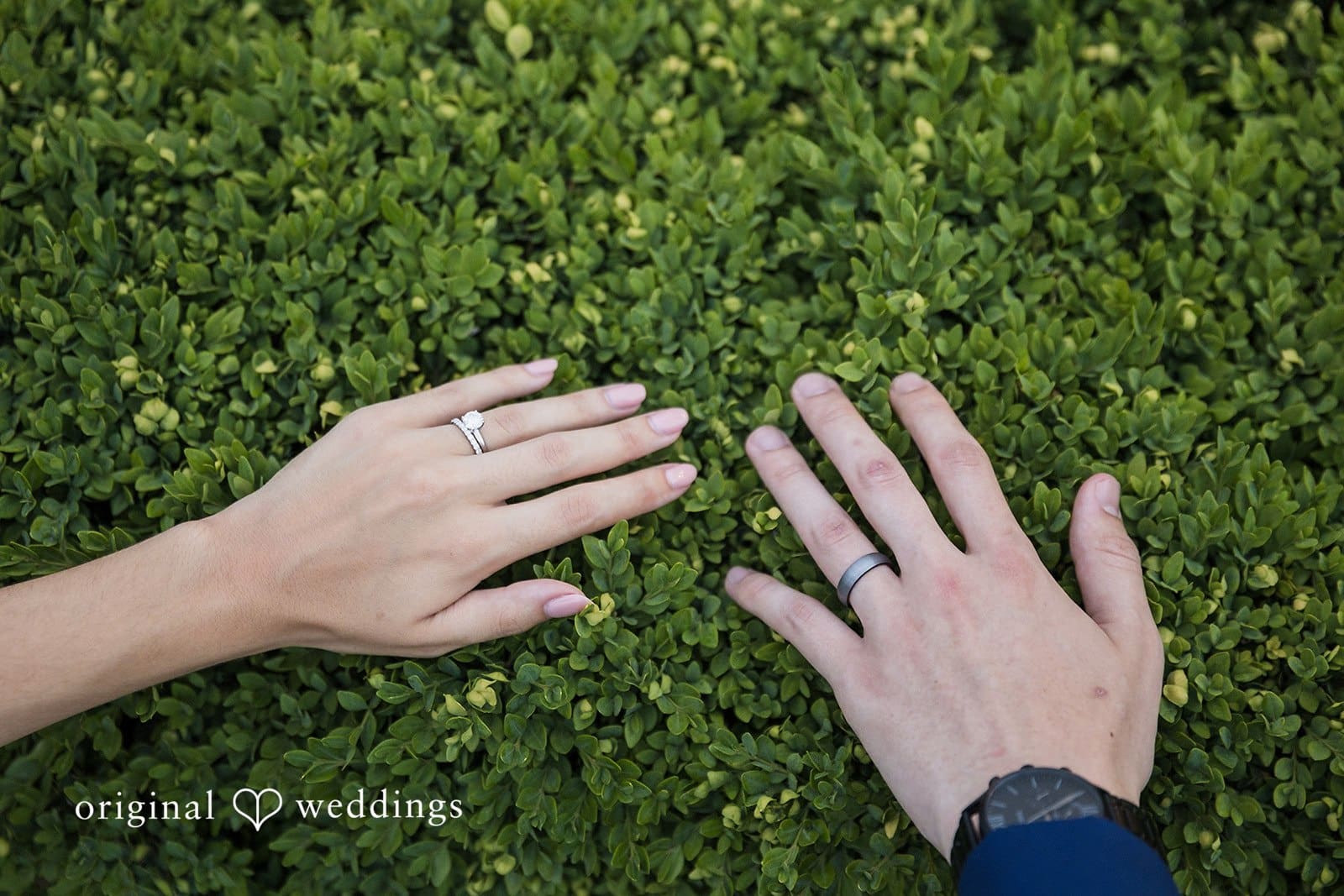 Cotillion Banquets Wedding // Alex & John -