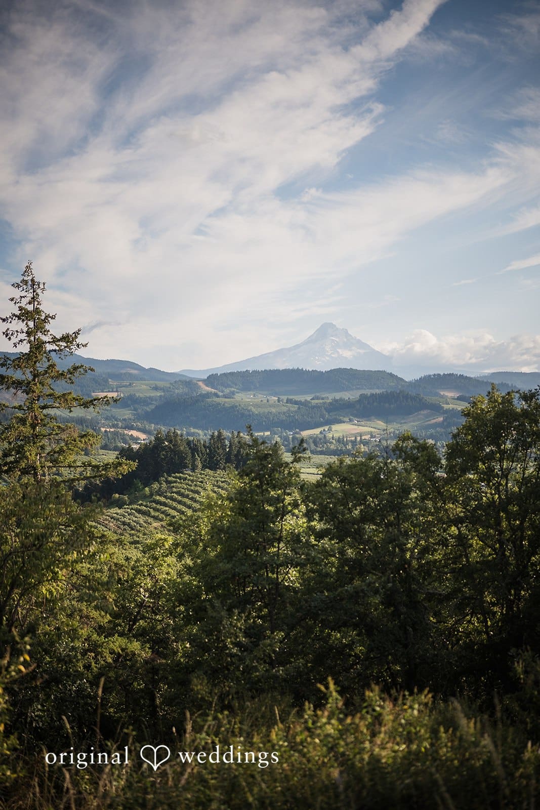 Crag Rat Hut Wedding // Emma & Brady -