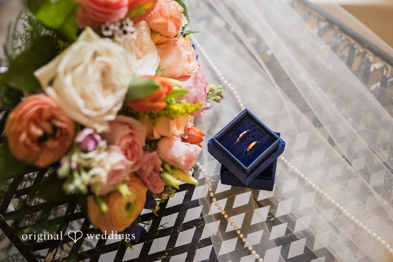 Defiance Ridge Vineyards Wedding // Gabriella & Ethan -