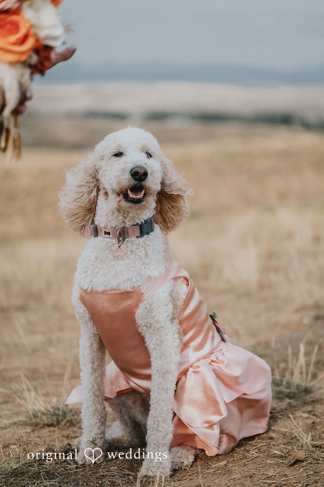 Day Off Ranch Wedding // Kinley & Connor -