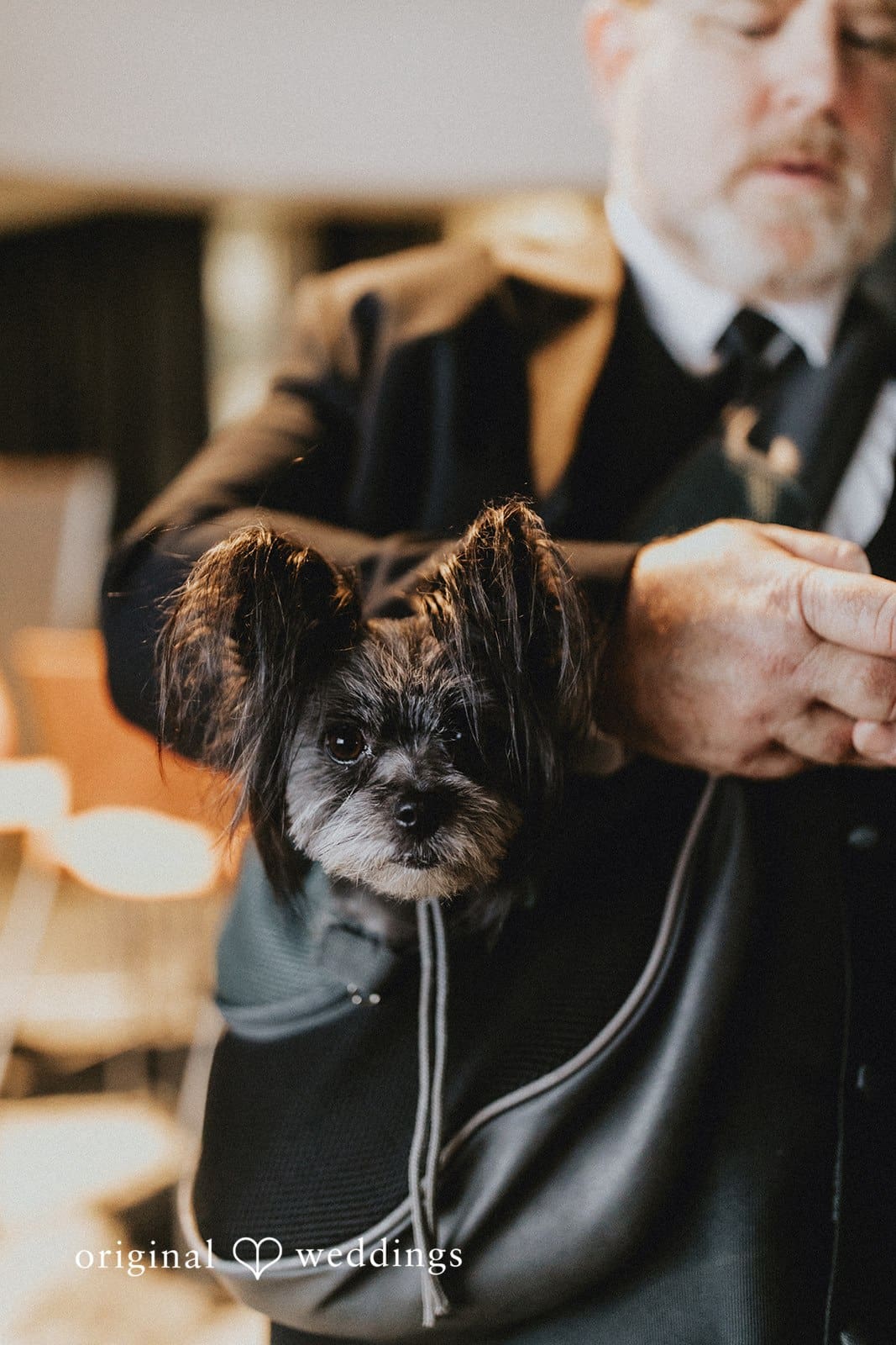 Destination Lounge Wedding // James & Rosa -