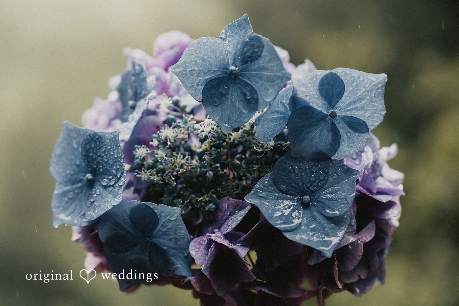 Devils Lake Wedding // Anna & Thomas -