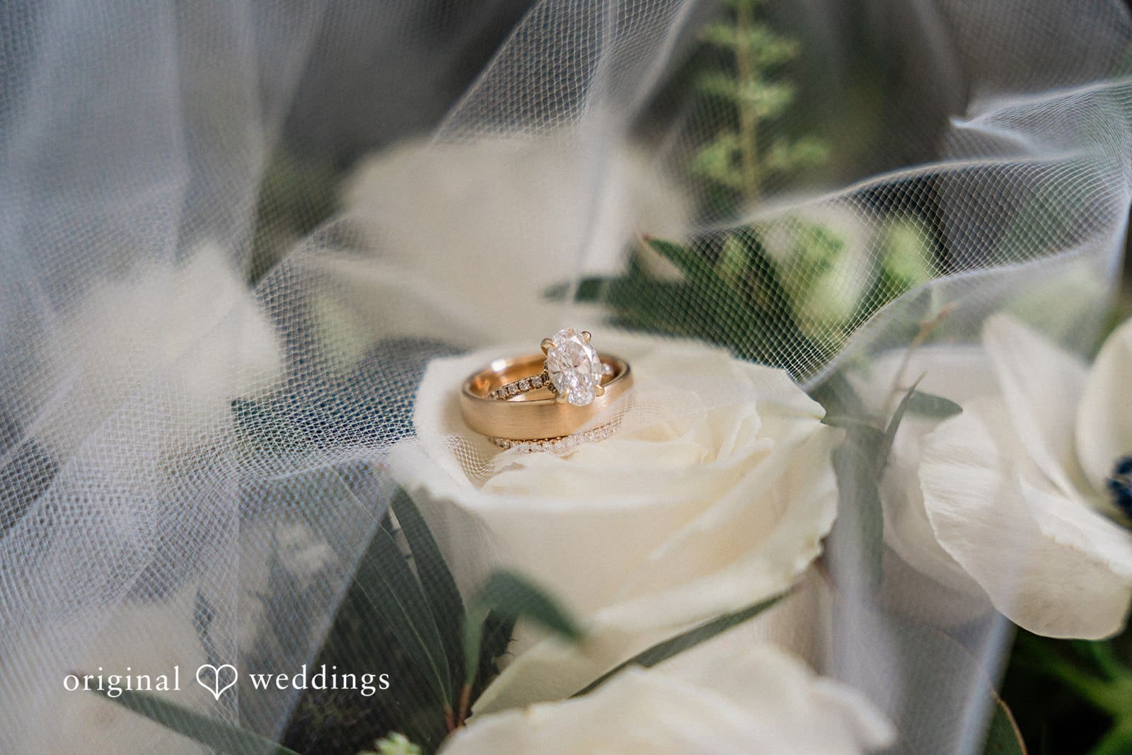 DK Farm and Gardens Wedding // Caitlyn & Wesley -