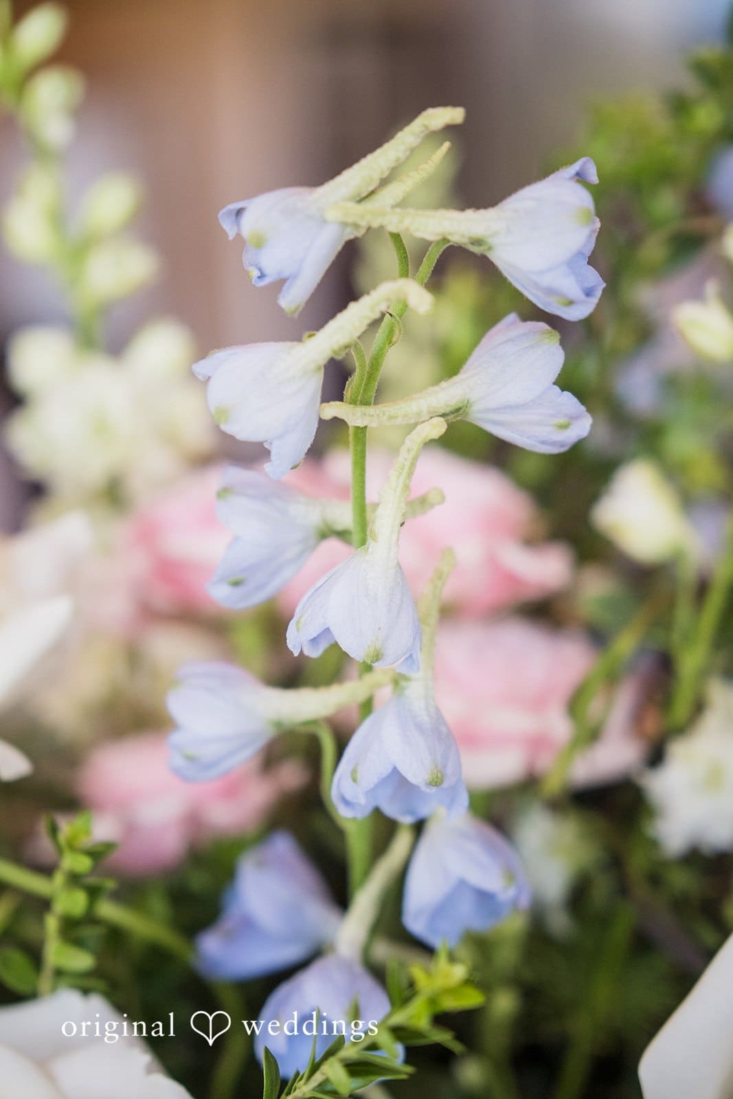 Eagle Ridge Wedding // Spencer & Davina -