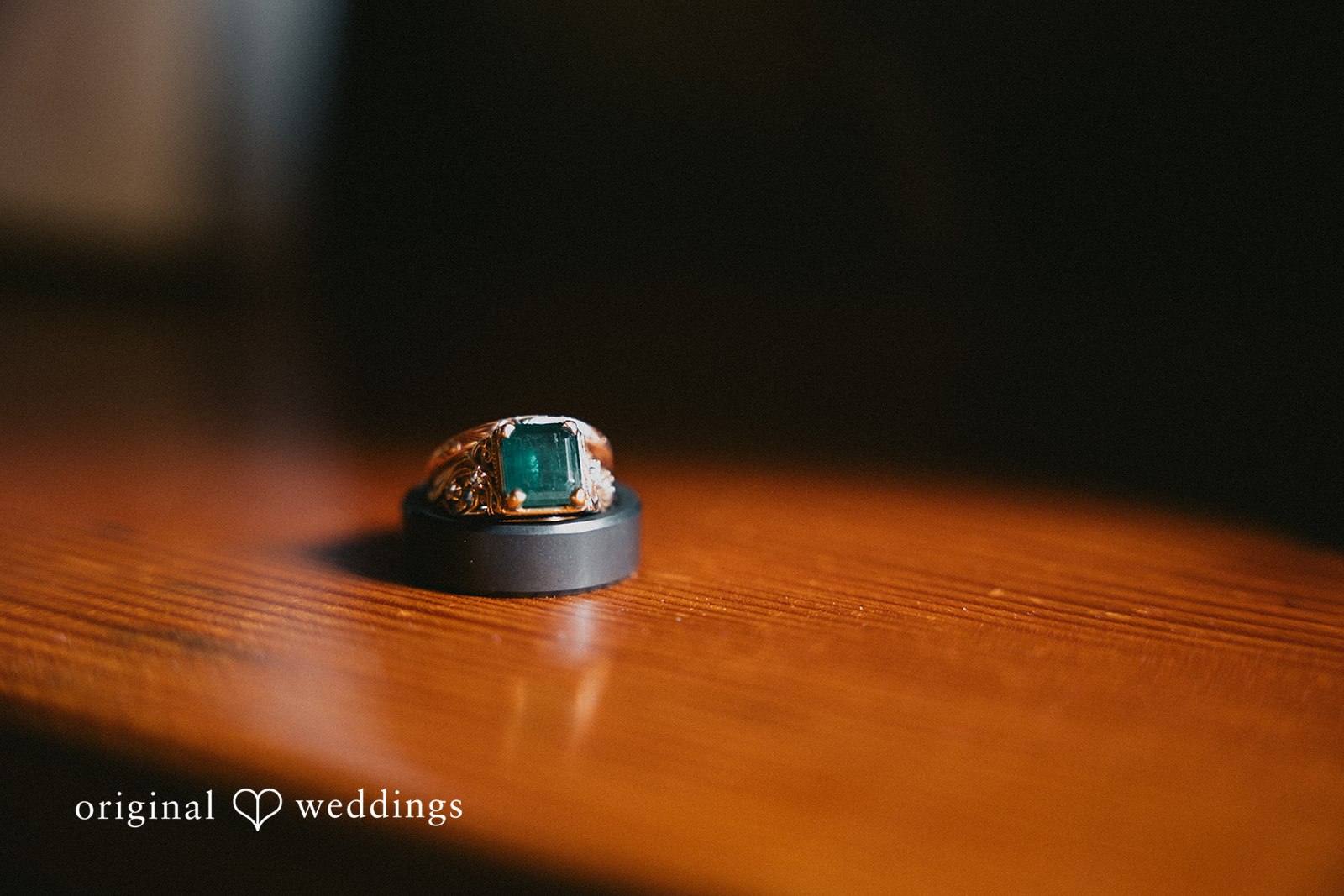Evergreen Gardens Wedding // Teri & Joshua -