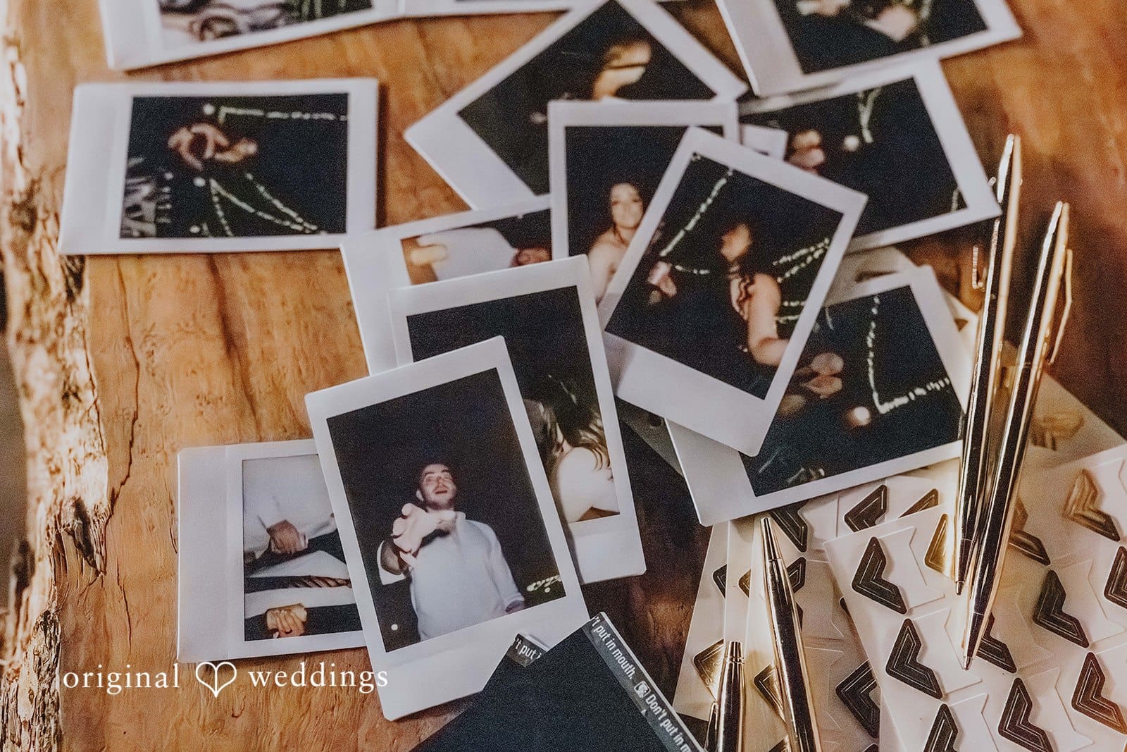 Evergreen Gardens Wedding // Cody & Tessa -