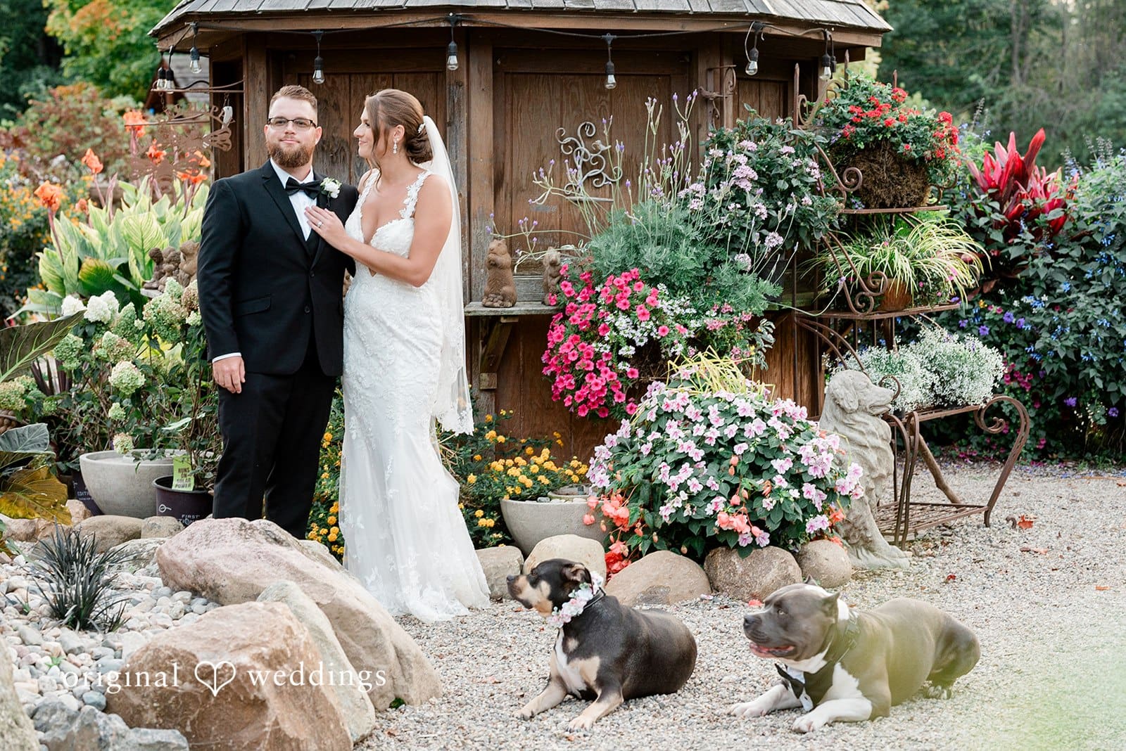 Everlastings in the Wildwood Wedding // Kleigh & Brandon -