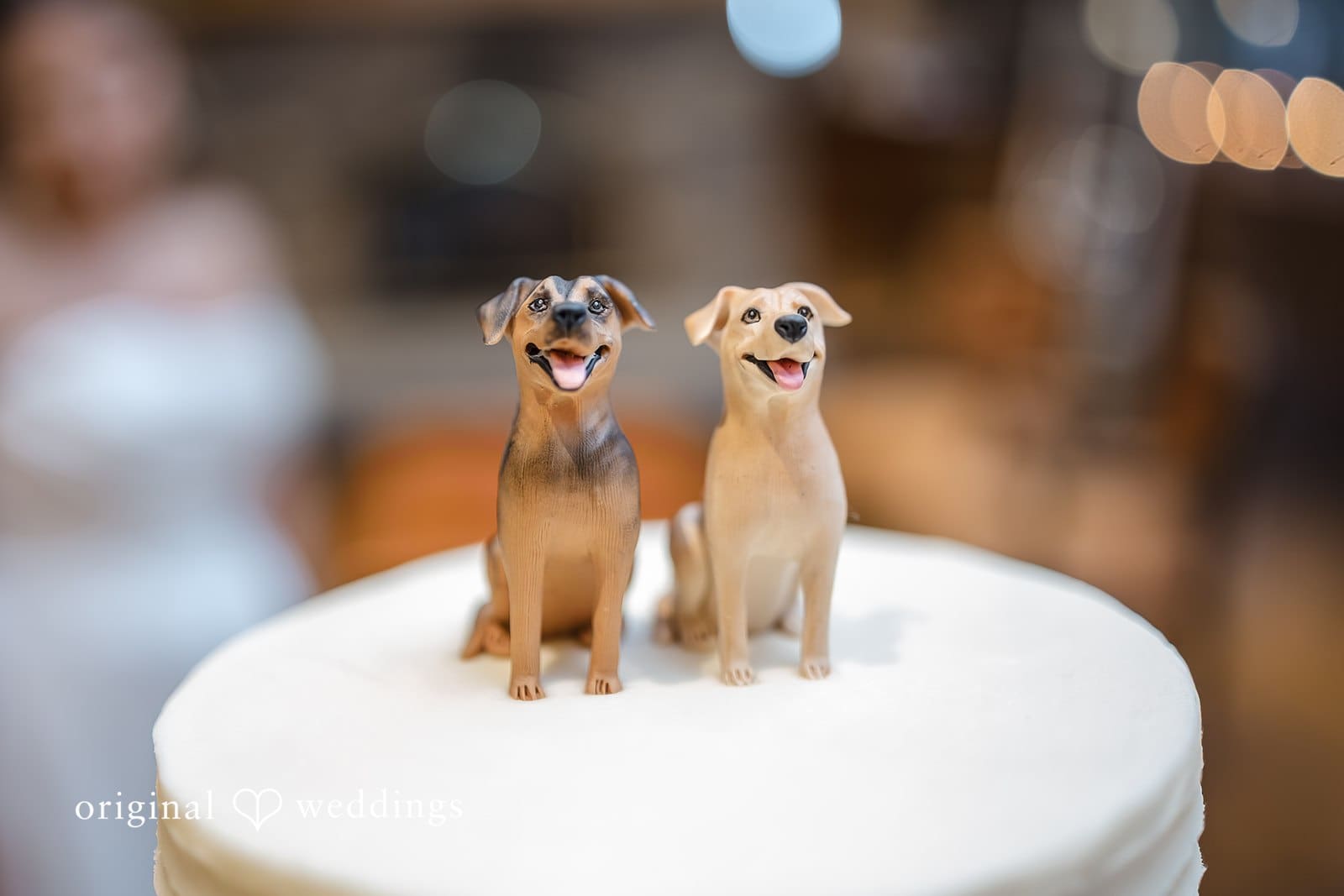 Fern Hill Barn Wedding // Kelsea & Brendan -