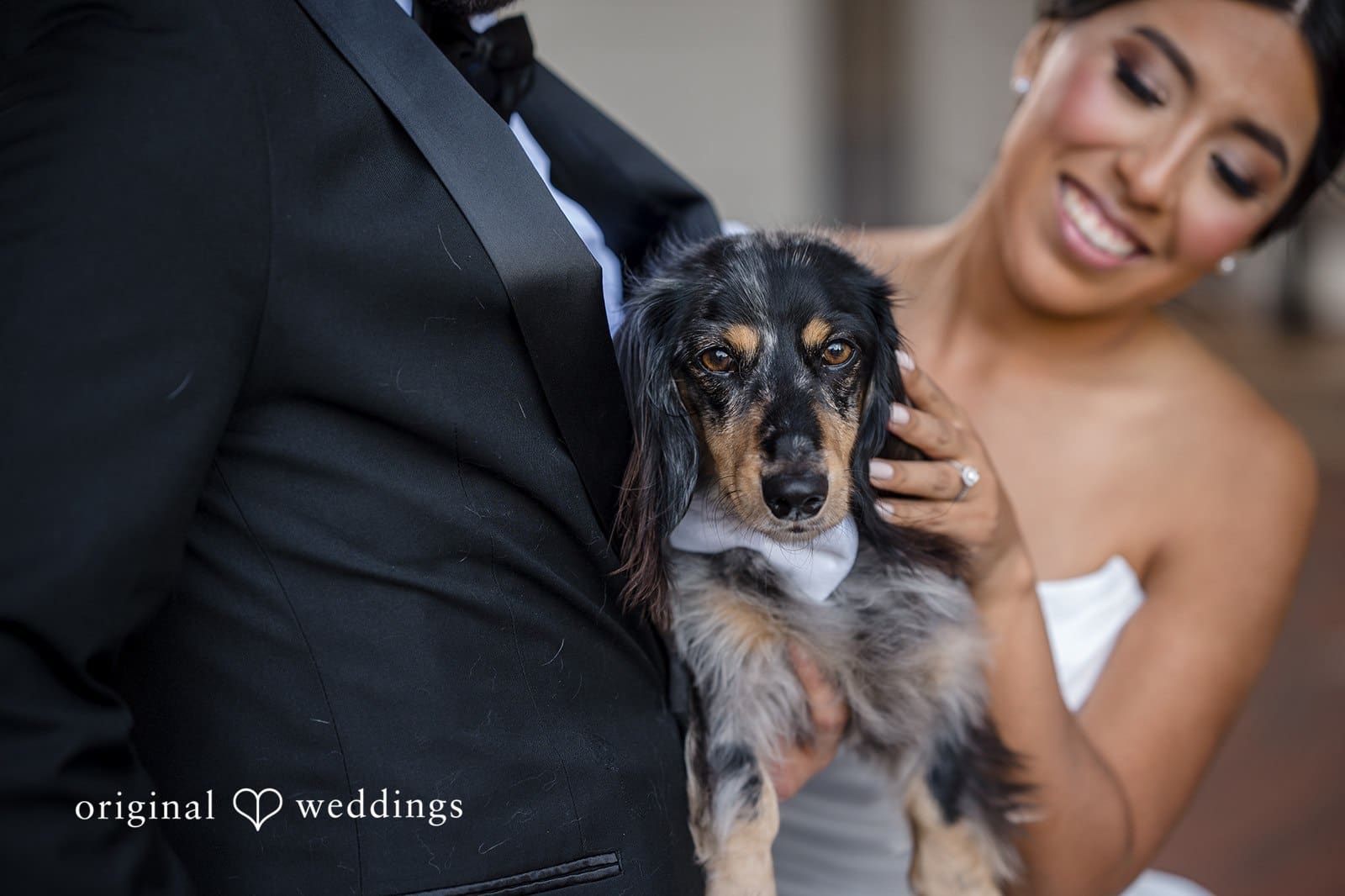 Foster's Pavilion Wedding // Rosita & Joseph -