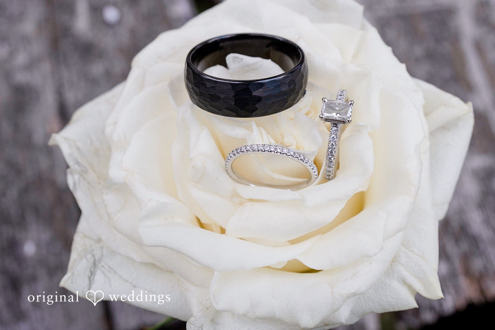 Fraser Farm Wedding // Sabrina & Brandon -