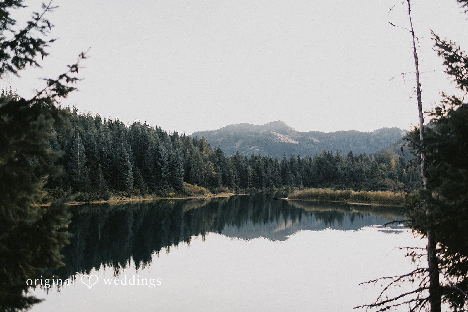 Gold Creek Pond Engagement // Quinten & Connor -