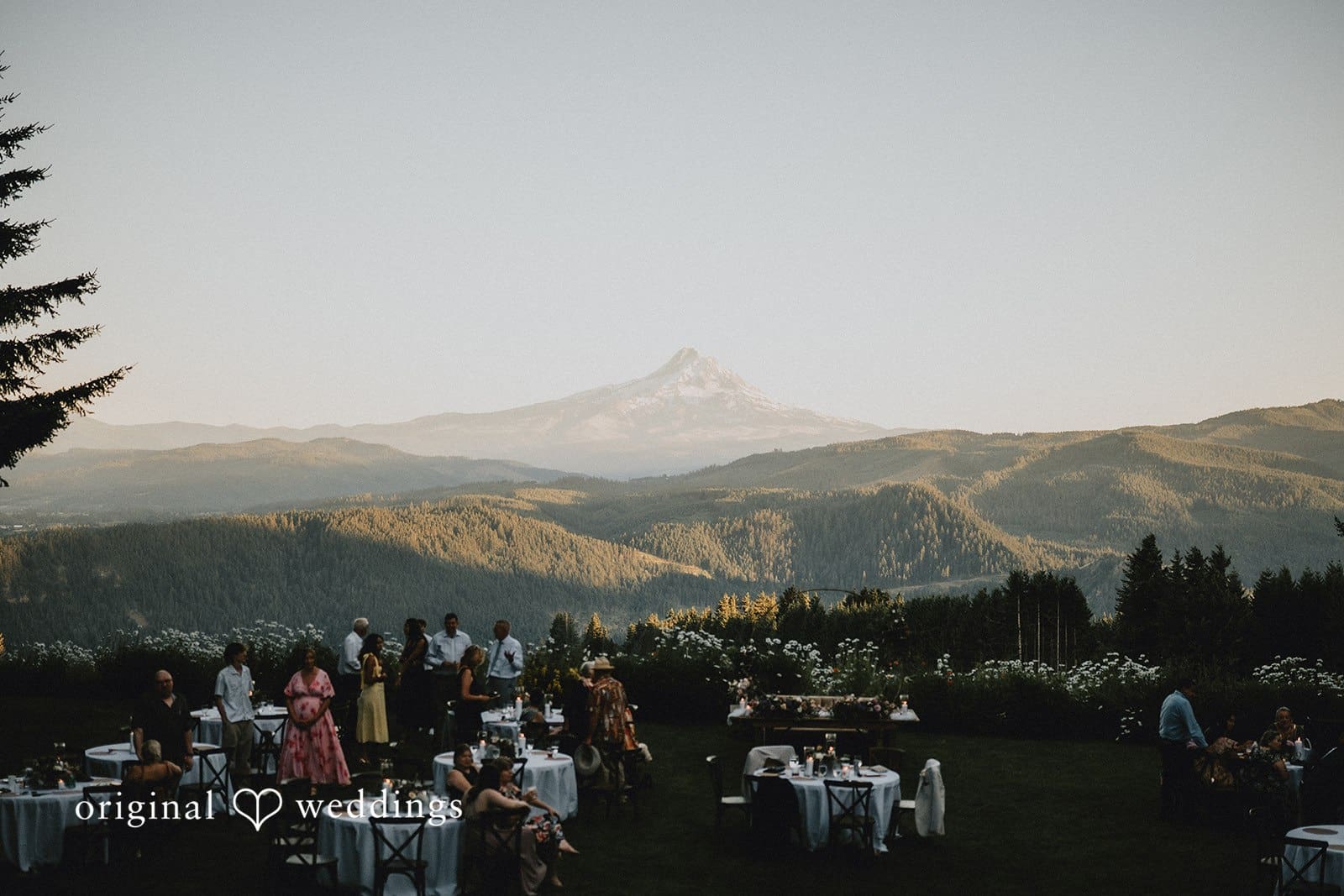 Gorge Crest Vineyards Wedding // Daphne & Daniel -