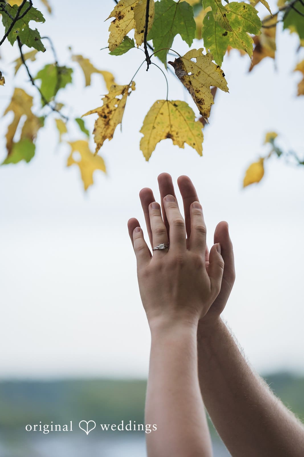 Great Falls Engagement // Catherine & Kaleb -