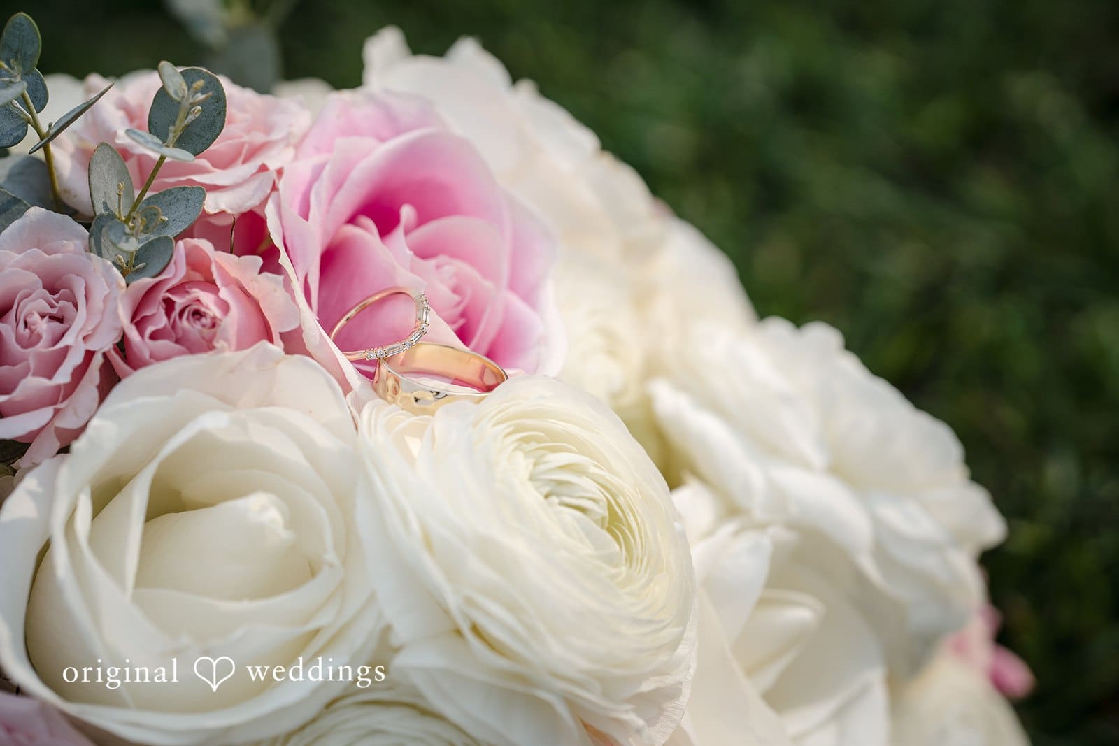 Harry's Fine Foods Wedding // Sinead & William -