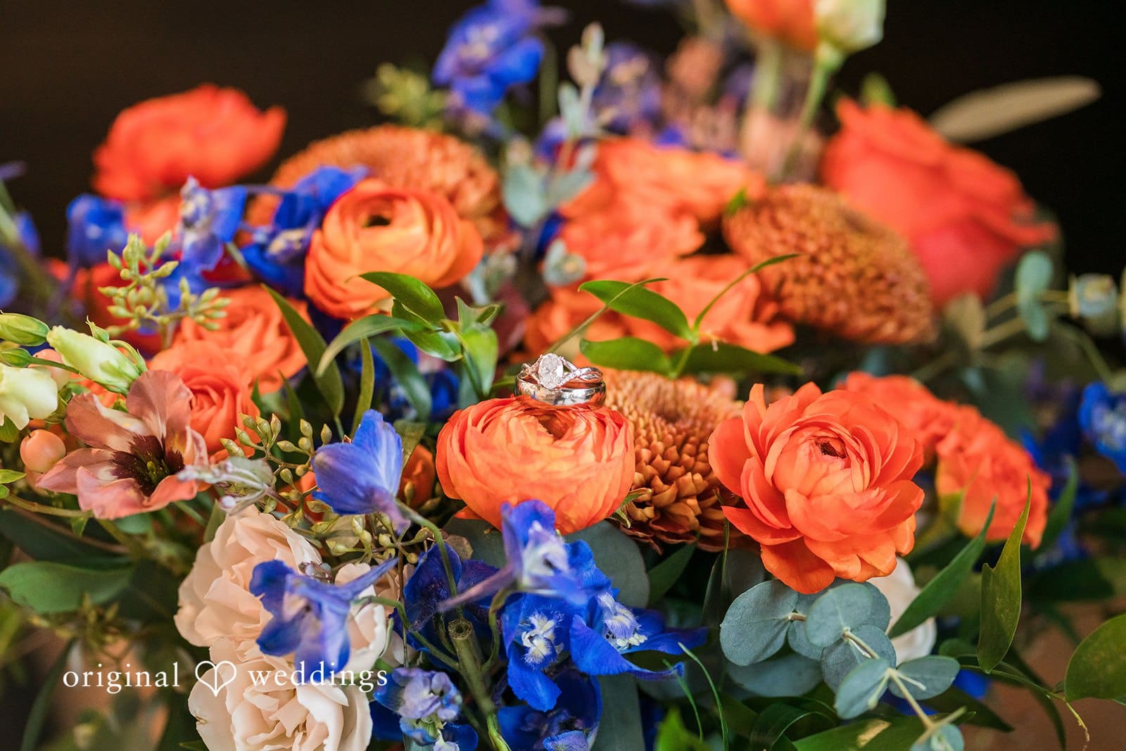 Harvey House Wedding // Kaleen & Seneca -