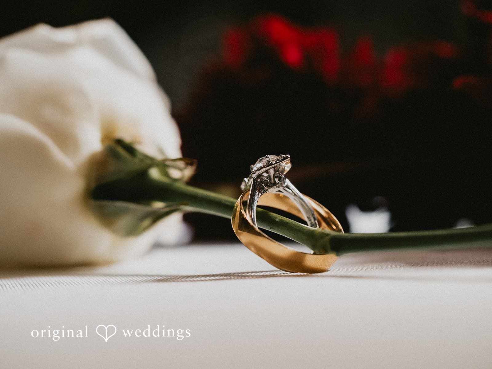 Holy Rosary Catholic Church Wedding // Regina & Spencer -