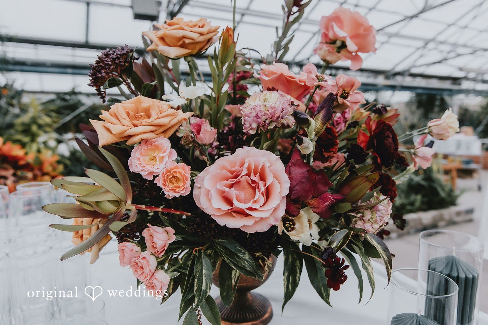 Horticulture Center Wedding // Christina & Corey -