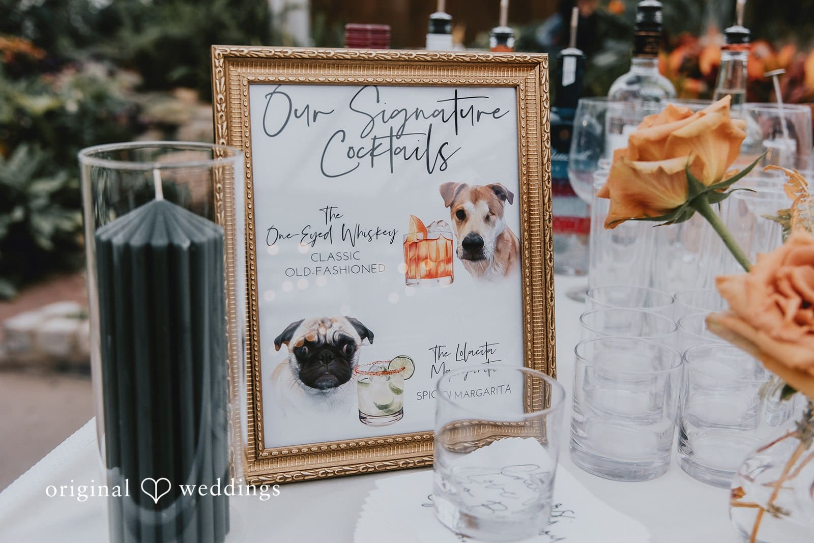 Horticulture Center Wedding // Christina & Corey -