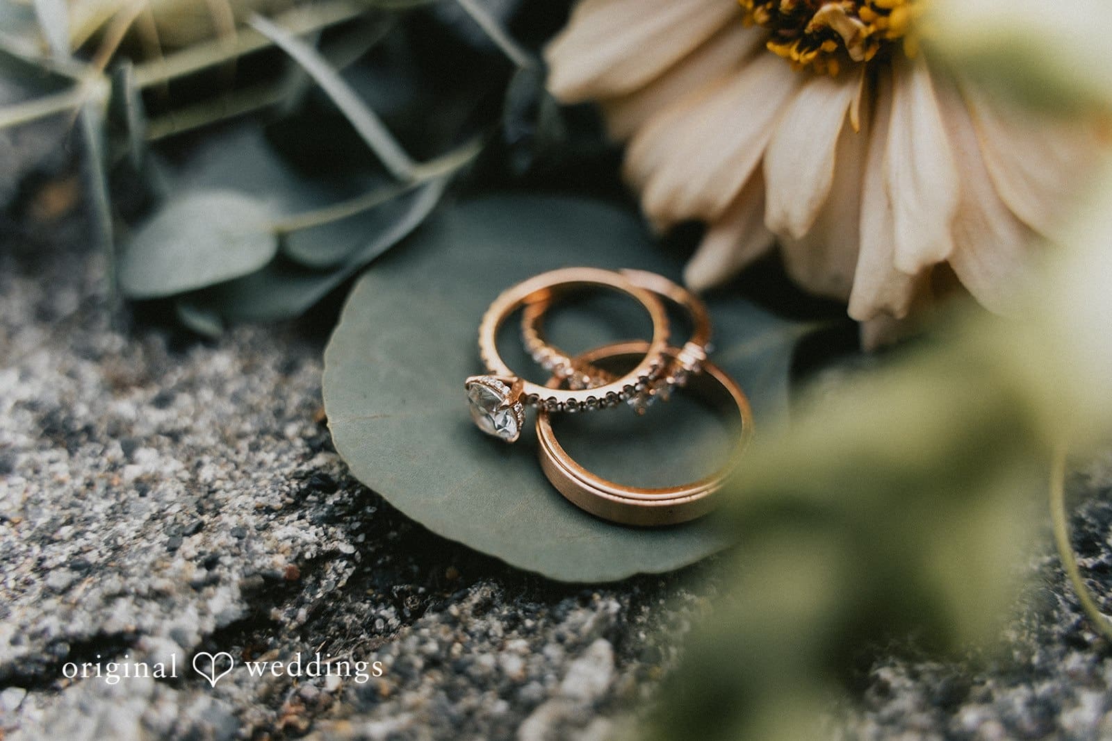 Cheyenne & Nicholas -