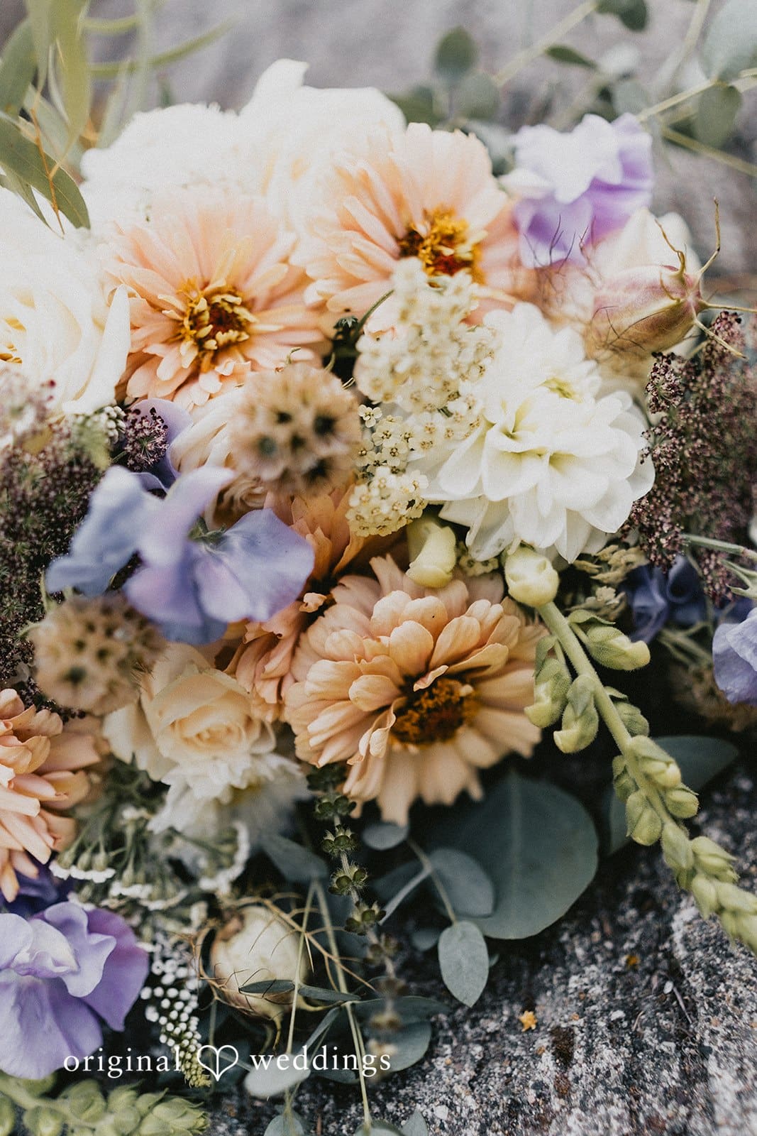 IslandWood Wedding // Cheyenne & Nicholas -