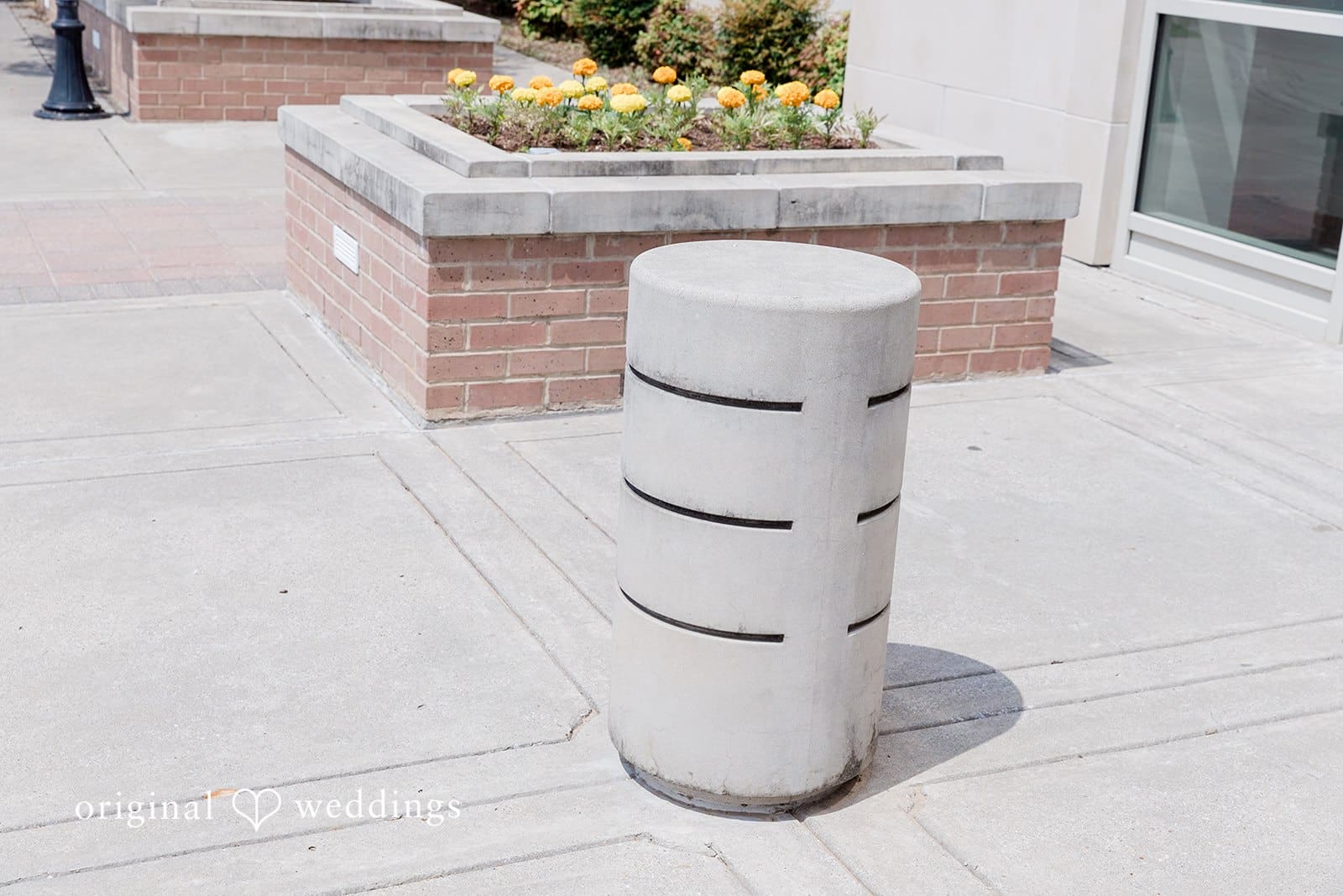 Justice of the Peace McKinney Wedding // Robert & Andrea -